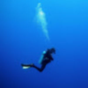 Meet your Posher, Kellyn